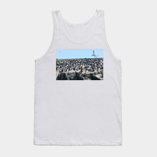 Guillemot flyby on the Farne Islands, Northumberland Tank Top
